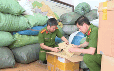 Tên 21 loại thuốc giả vừa bị triệt phá ở Thanh Hóa cần tránh