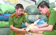 21 loại thuốc giả, có 4 loại giả thuốc đã được cấp phép lưu hành