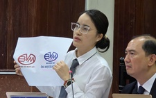 Vụ tranh chấp nhãn hiệu nhựa Bình Minh: Giám định nói xâm phạm, tòa nói kết luận chỉ để tham khảo