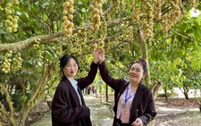Ngồi ghe du lịch, thưởng thức món dân dã ở đô thị sông nước