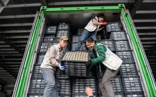 Lạng Sơn bác tin ùn tắc nông sản xuất khẩu tại cửa khẩu