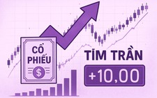 Điểm tên loạt cổ phiếu tăng 'tím trần' tại phiên chứng khoán Việt giảm mạnh nhất châu Á