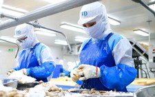 Doanh nghiệp thủy sản tìm cách ứng phó với thuế đối ứng của Mỹ