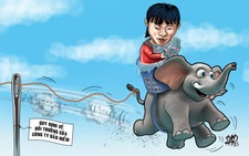 Trục lợi bảo hiểm: Có con voi lọt lỗ kim!