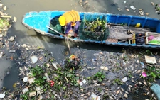 Nearly 20 tonnes of dead fish, waste removed from Ho Chi Minh City canal after first rains