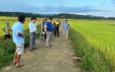 Cụ bà bị sét đánh tử vong khi trên đường từ đồng trở về nhà