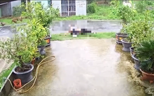 Hai thanh niên đi xe máy vướng dây điện, bị giật tử vong
