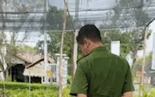 Phạt tiền chủ cơ sở cây giống ở Hậu Giang, buộc gỡ clip vì sai sự thật
