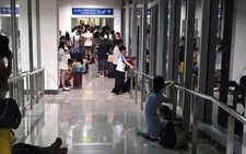 Sân bay Tân Sơn Nhất báo cáo vụ đoàn khách bị 'mắc kẹt' lúc rạng sáng: Do phối hợp chưa chặt chẽ