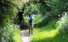 Longer exposure, more pollen: climate change worsens allergies
