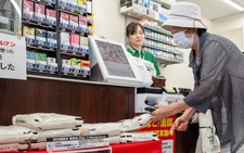 Giá gạo Nhật Bản 12 tháng tăng 101%, Việt Nam và Thái Lan chớp cơ hội