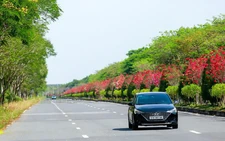 Hạn chế sử dụng bao ni lông tại huyện Cần Giờ, TP.HCM