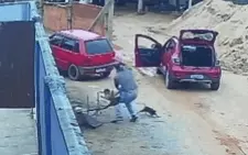 Tài xế túm đầu pitbull vứt xuống hồ bơi khi bị tấn công