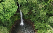 Vietnam discovers 2 waterfalls with tourism potential in central forest