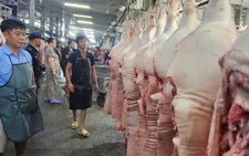 Giá heo liên tục giảm do ảnh hưởng dịch bệnh?