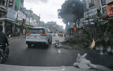 TP.HCM mưa dông, gió giật cấp 9, cây xanh ngã đổ nhiều nơi
