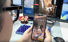 Hàng chục ngàn shop rời sàn thương mại điện tử
