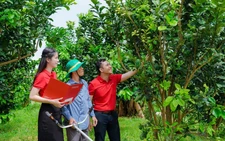 Agribank - Doanh nghiệp ESG Việt Nam xanh 2025