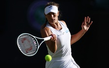 'Kẻ thất bại may mắn' ở Wimbledon 2025
