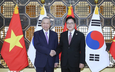 Vietnam’s Party chief hopes to see Vietnamese in S.Korea’s parliament