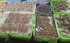 From roadside stalls to tourist magnet: Vung Tau’s Xom Luoi bustling seafood market