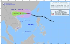 Vietnam PM orders preparedness for typhoon Ragasa, warns of worst-case scenario