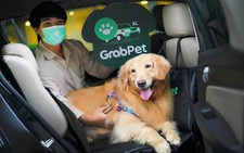 Grab to pilot pet-friendly car service in Ho Chi Minh City with added fee
