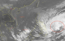 Tropical depression near East Vietnam Sea may intensify into storm