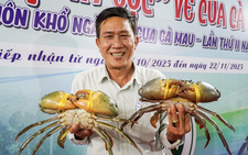 Vietnam’s Ca Mau to spend almost $343,000 on crab genetic conservation, development
