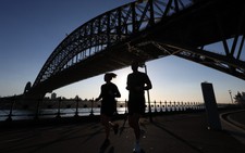 Australian boy in critical condition after Sydney Harbour shark attack