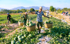 Breakfast @ Tuoi Tre News — January 19