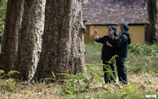 Exploring Vietnam’s 120-year-old rubber tree garden planted by French