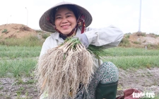 Breakfast @ Tuoi Tre News — January 21