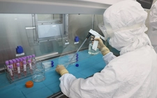 Immunotherapy effective against esophageal cancer: study