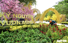 Long-abandoned land in downtown Ho Chi Minh City transformed into flower-filled park
