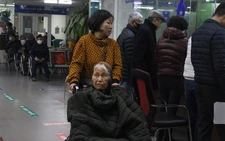 Vietnam projected to enter aging society within next decade