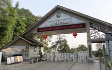 2 pandas arrive in China from Japan