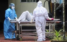 Vietnam steps up preventive measures amid regional Nipah virus concerns
