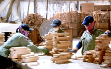 US delays wood tariff hike, gives temporary relief to Vietnam's wood sector in 2026