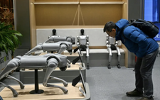 Artist chains up thrashing robot dog to expose AI fears