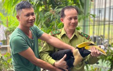Wildlife rescue efforts sharply grow in Ho Chi Minh City