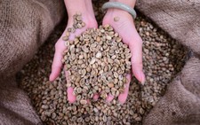 Vietnamese coffee wins over Amazon shoppers, eyes premium prices