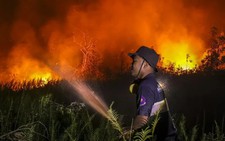 Damaged and drained, Indonesia's peatlands go up in smoke