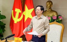 Vietnam targets EC's IUU fishing 'yellow card' removal as top political priority: Deputy PM