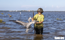 In Vietnam’s flooded fields, wild birds fall into invisible, cruel traps