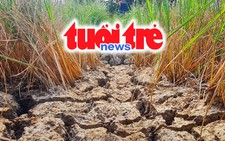 Vietnam Spotlight Podcast: Very strong El Nino may bring fewer storms, Phu Quoc plans to lease forest for ecotourism