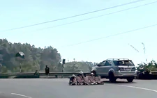 6 women fined $58 for posing for photos on dangerous bend on Da Nang pass