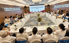 Vietnam's Mekong Delta struggles to grow large businesses
