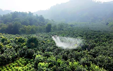 UAVs assist farmers in Vietnam's Dien Bien