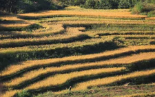 Mien Doi terraced field festival attracts visitors to Vietnam's Phu Tho